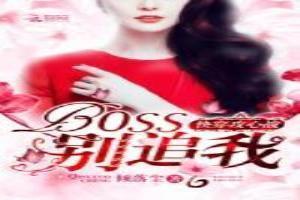 快穿攻心戰：BOSS，別追我