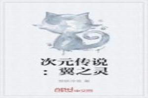 次元傳說：翼之靈